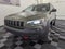 2019 Jeep Cherokee Trailhawk Elite 4x4