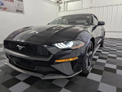 2019 Ford Mustang EcoBoost