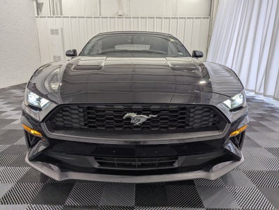 2019 Ford Mustang EcoBoost