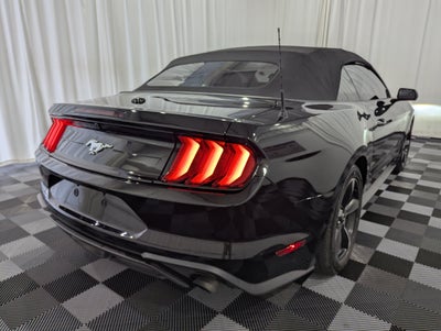 2019 Ford Mustang EcoBoost