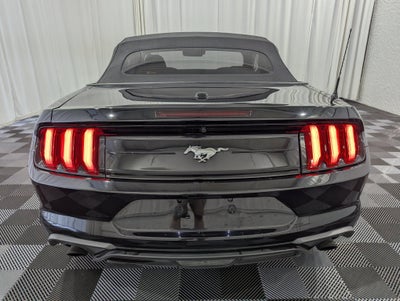 2019 Ford Mustang EcoBoost