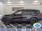 2026 Ford Explorer Tremor 4x4