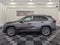 2025 Toyota RAV4 XLE Premium AWD